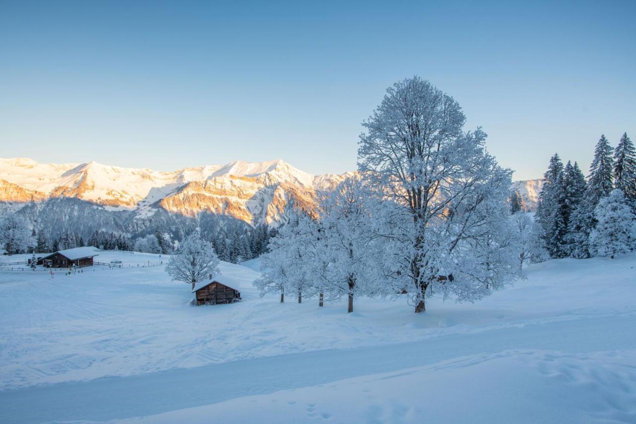 Hotel Brienz Brienz  Bagian luar foto